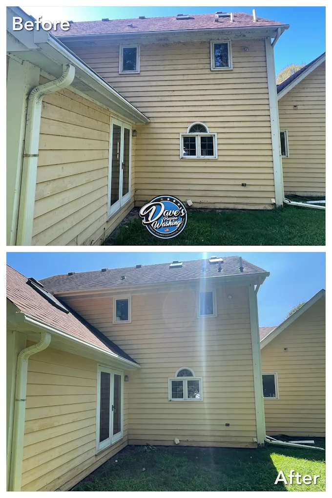 Back of house soft wash