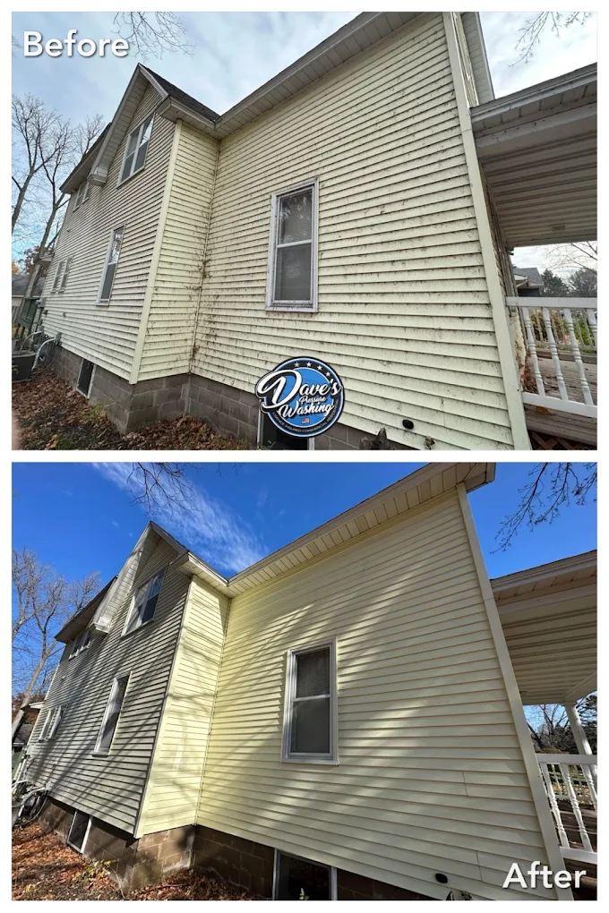 Algae & mildew removal
